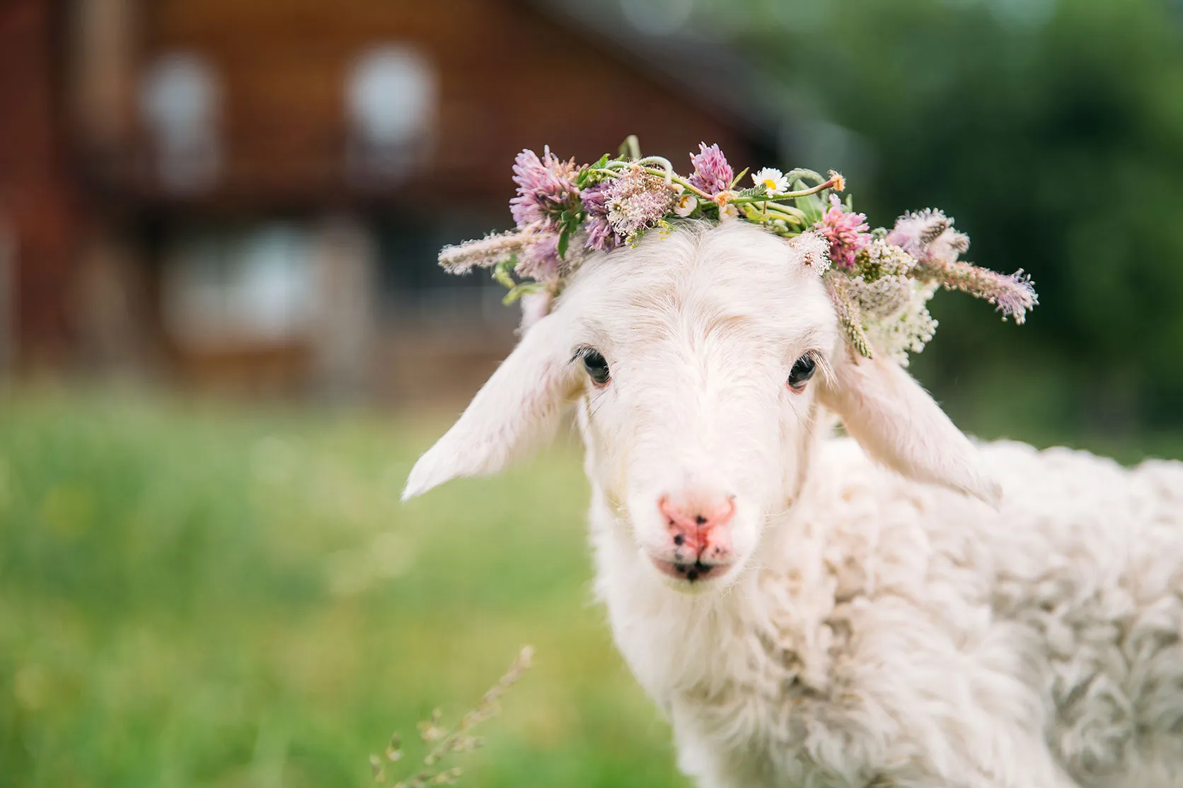 Le maquillage 100% Cruelty free