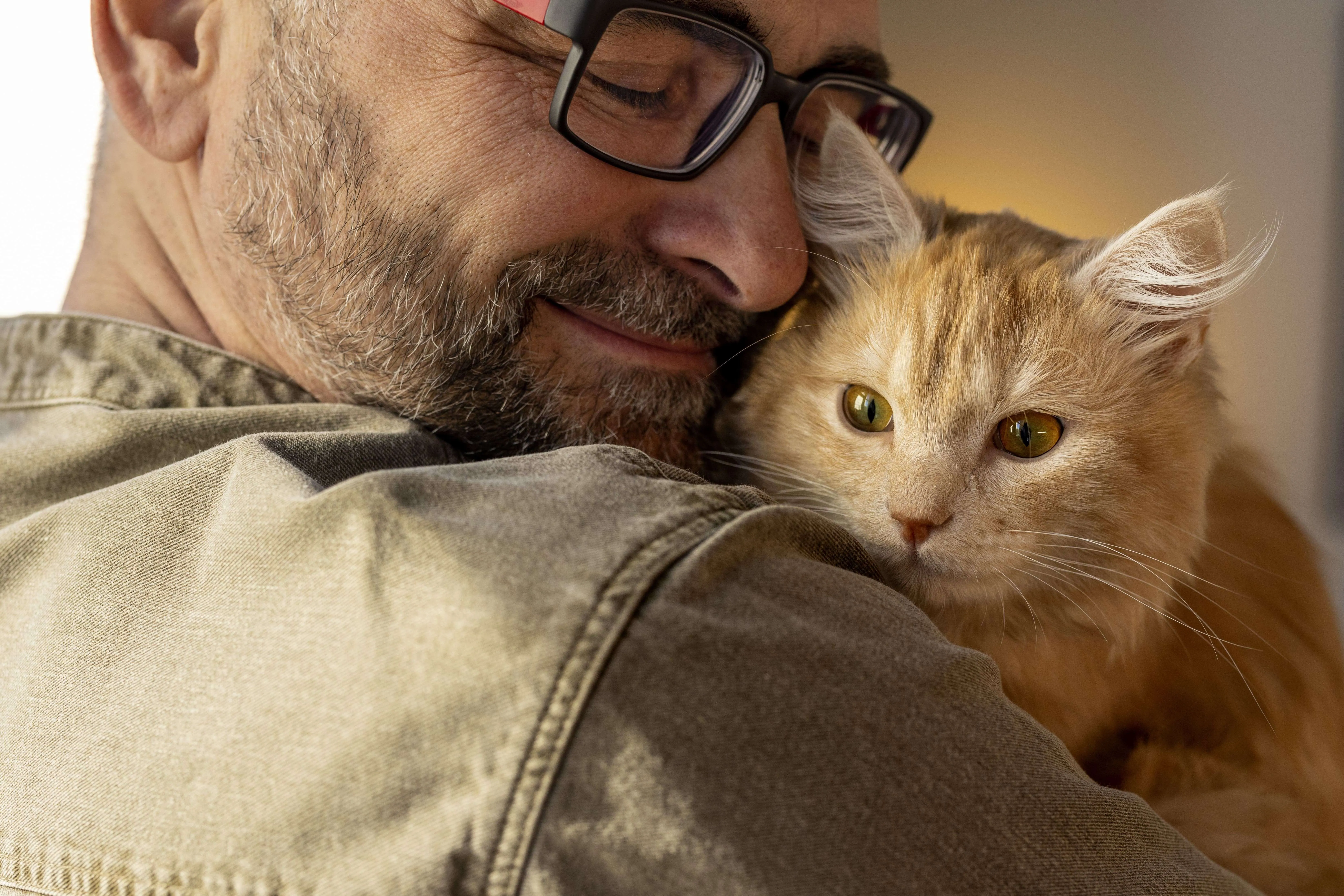 Communication avec votre animal : émotions, besoins et lien intuitif