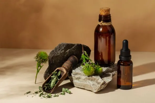 Naturopathe Naturopathe
